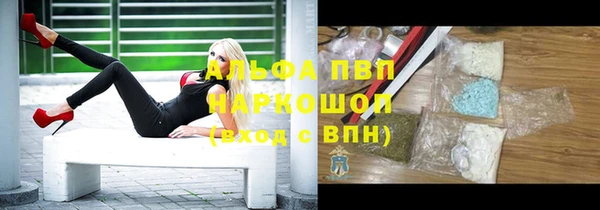 метадон Богданович