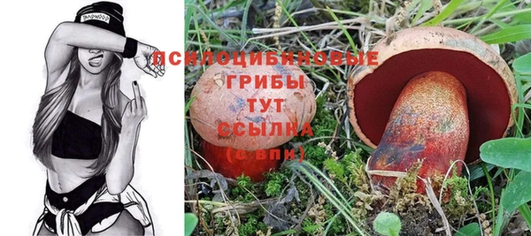 твердый Беломорск