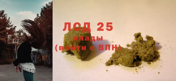 метадон Богданович
