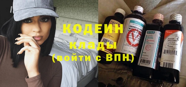 метадон Богданович