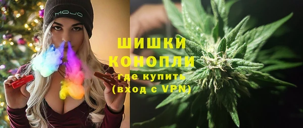 метадон Богданович