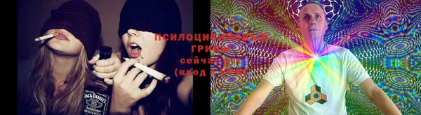 героин Богородицк