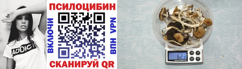 Галлюциногенные грибы Psilocybine cubensis  Купить  Морозовск 