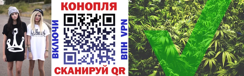 Бошки Шишки сатива  Купить где  Морозовск 